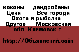 коконы    дендробены › Цена ­ 25 - Все города Охота и рыбалка » Другое   . Московская обл.,Климовск г.